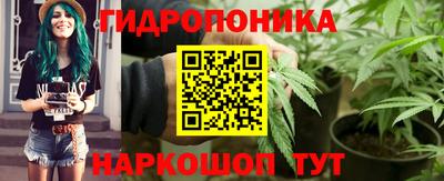 apvp Обнинск