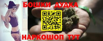 индика Нягань