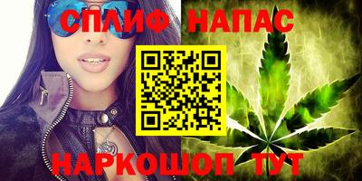 apvp Обнинск